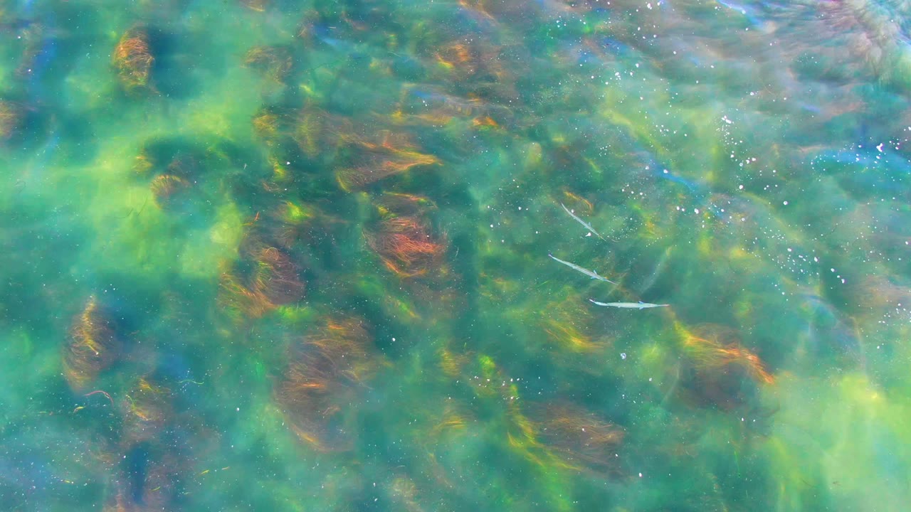 Clear shallow water in La Bocana, Baja California Sur shows bright surface reflections, green-blue tones, and darker rocky patches below, with no visible people.