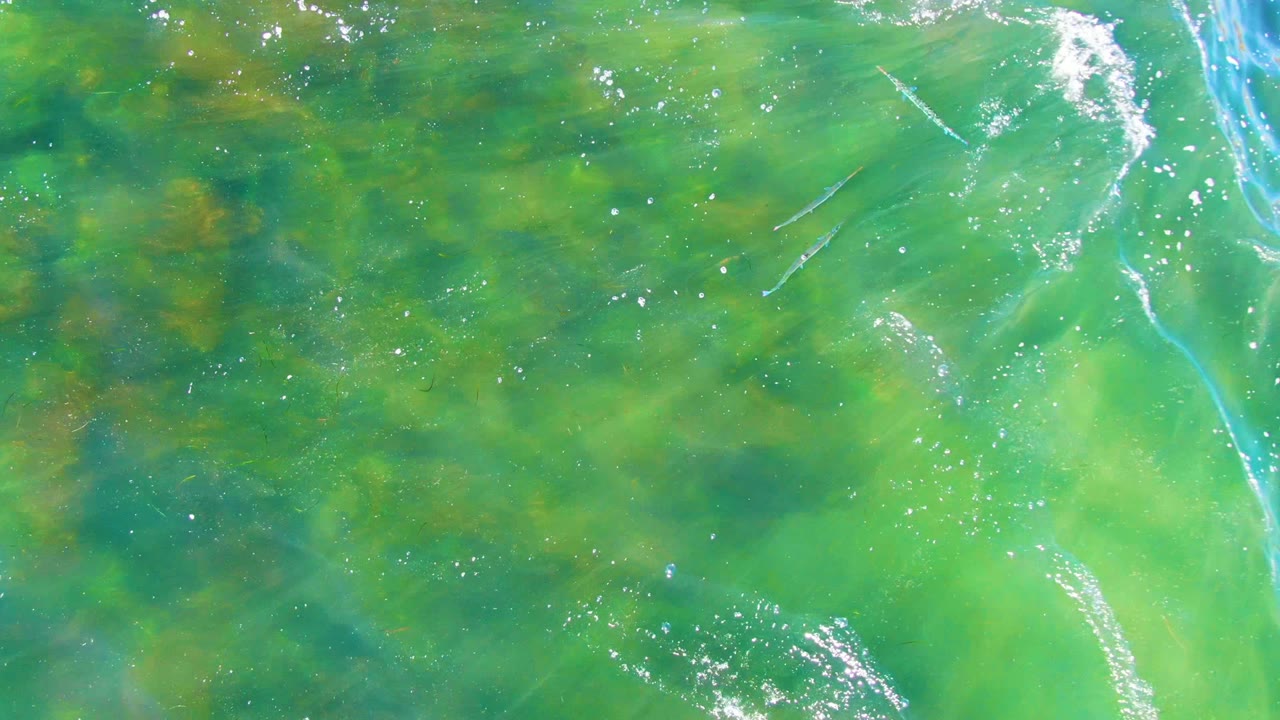 Green and blue shallow water with fish shapes and darker seabed patches