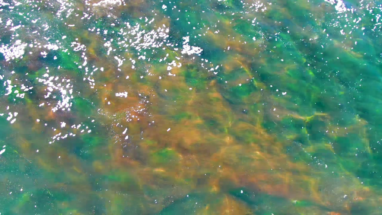 Clear shallow water in La Bocana shows green and brown seaweed beneath white sun reflections, with no visible people.