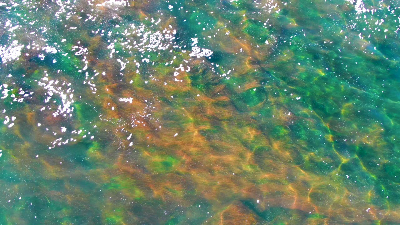 Turquoise water with submerged seaweed and clustered white reflections.