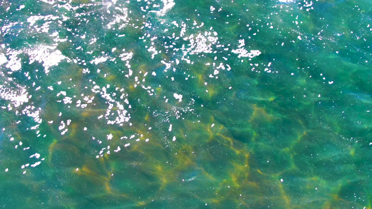 A top-down frame of La Bocana shallow water shows turquoise surface ripples over darker submerged seagrass, with bright glints near the upper edge and no visible people.