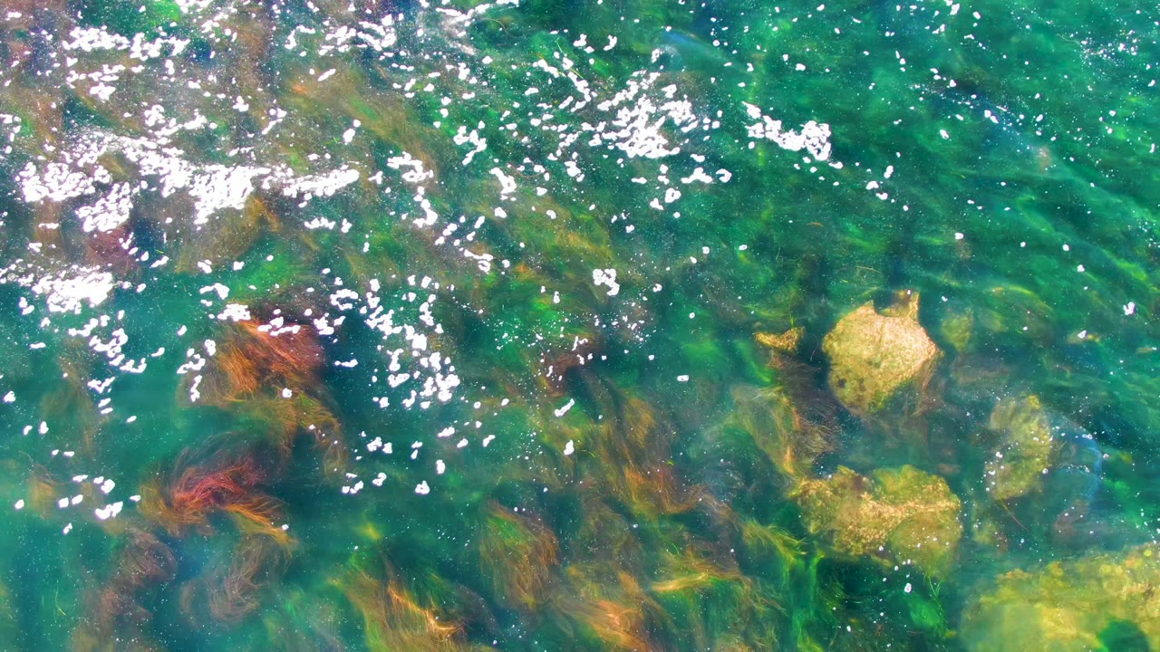Overhead view in La Bocana, Baja California Sur showing clear green water, reddish seaweed, pale submerged rocks, bright white reflections near the top, and no visible people.