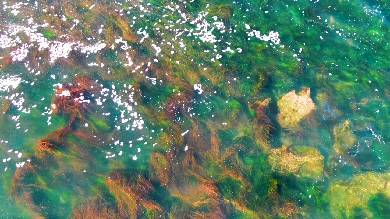 The frame shows clear turquoise green water in La Bocana with reddish seaweed concentrated left of center, pale rocks on the right, bright white surface highlights, and no visible people.