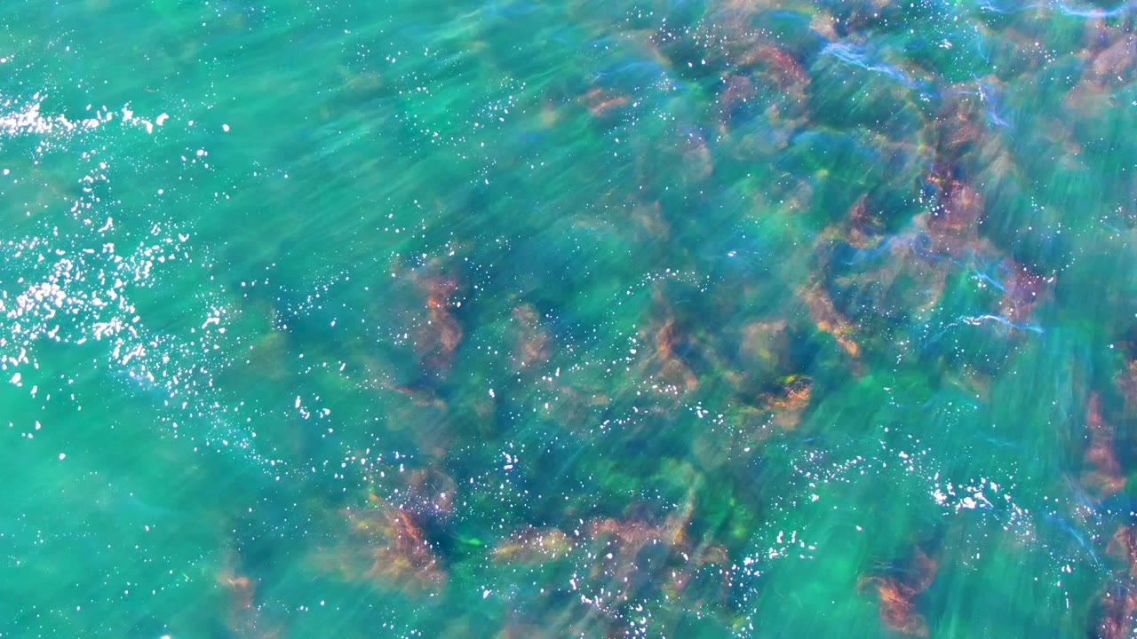 Opening overhead frame of clear turquoise water in La Bocana, Mexico, with dark submerged rocks, green-brown seabed color, scattered white reflections, and no visible people.