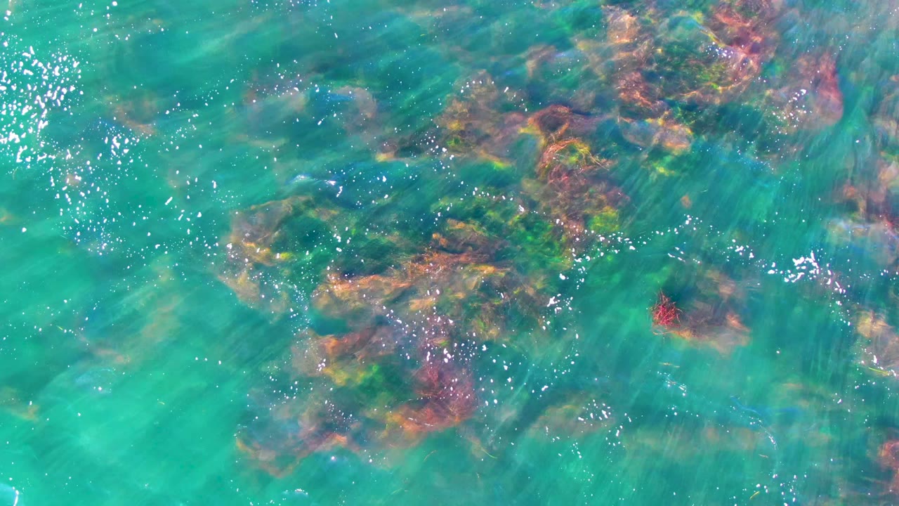 Overhead view of clear turquoise water in La Bocana, Baja California Sur, with dark submerged rocks, rust-toned seabed patches, sun glints, and no visible people.