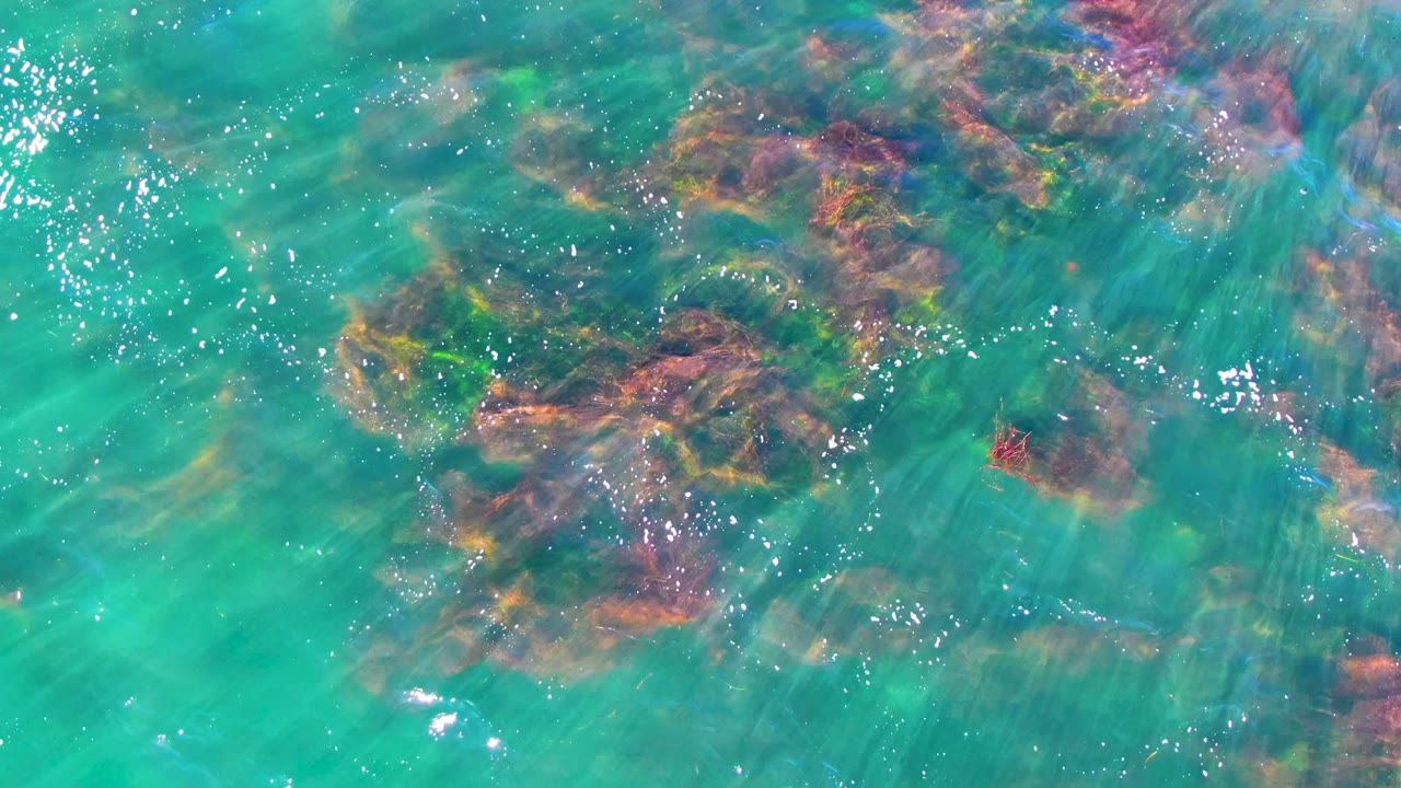 Clear water with clustered rocks beneath the surface