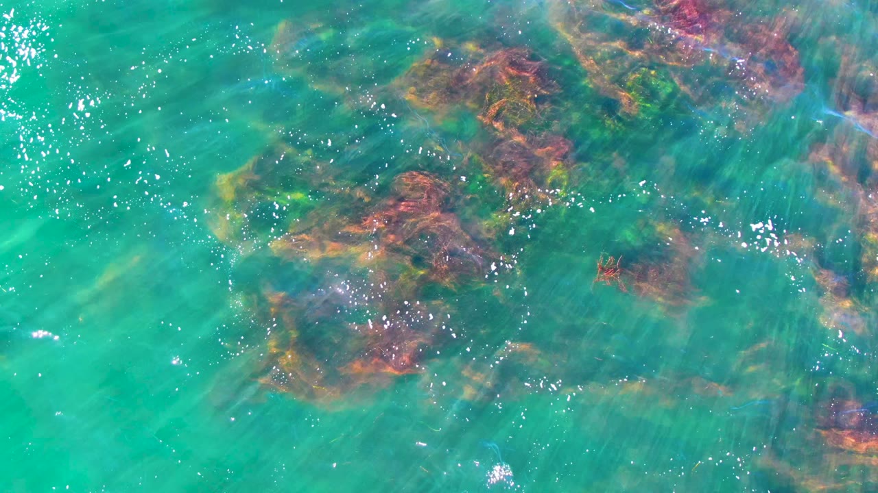 A bright teal overhead frame from La Bocana, Baja California Sur, shows a broad submerged rocky patch with thin ripples, scattered glints, and no visible people.