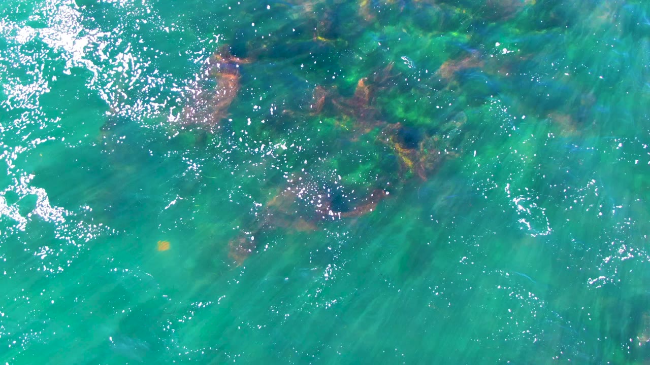 Overhead view of turquoise shallow water in La Bocana, Baja California Sur, with bright glare on the surface, dark submerged rocks, green strands, and no visible people.
