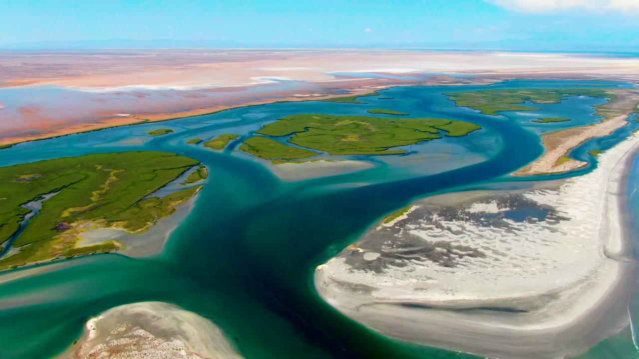 Drone view of a river delta with curved turquoise channels and pale sandbars.