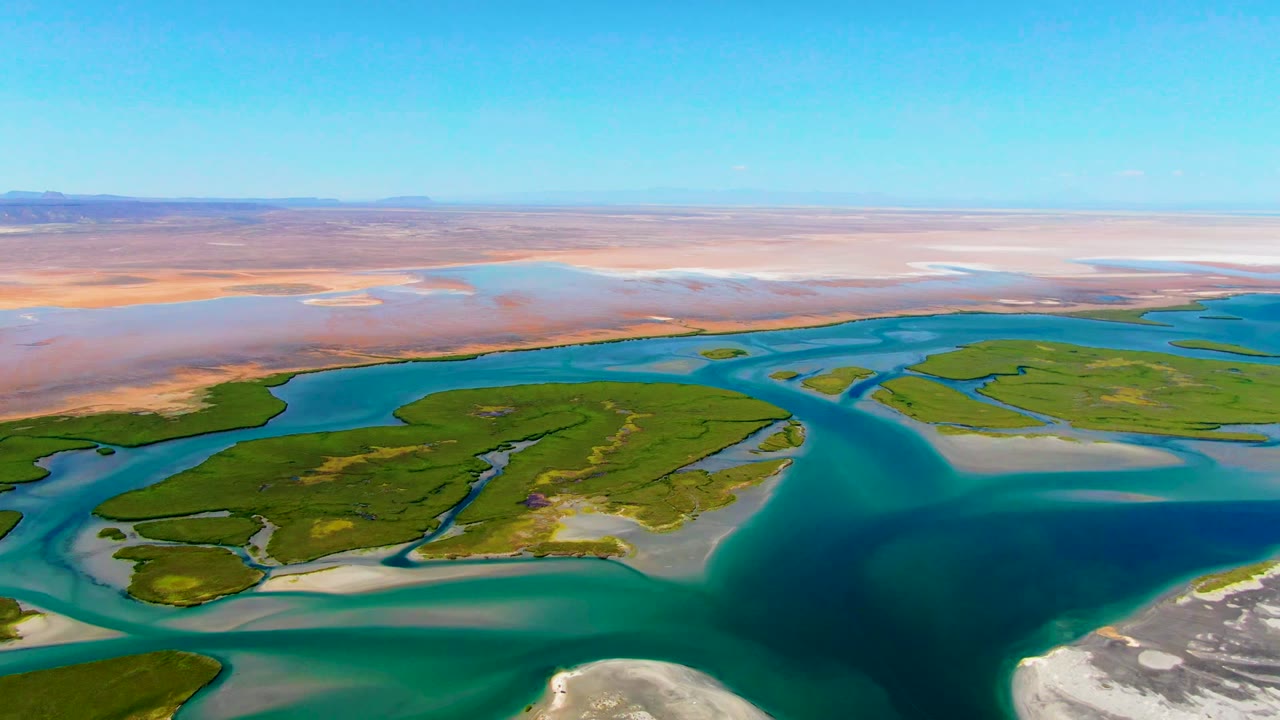 High aerial view of branching waterways, green landforms, sandy shallows, and flat desert plain.