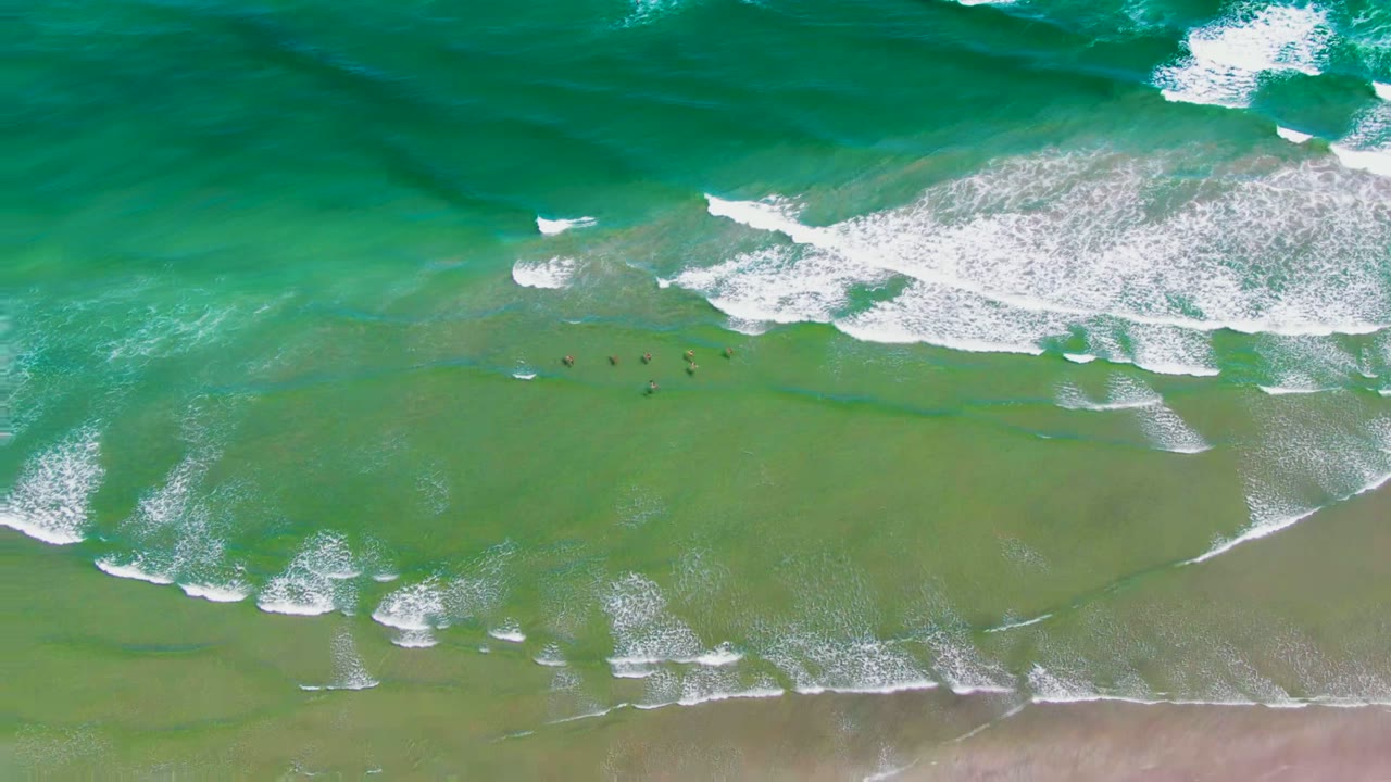 Overhead view of La Bocana surf with green shallow water, white foam bands, wet sand at the bottom edge, and tiny swimmers visible near the early breaking waves.