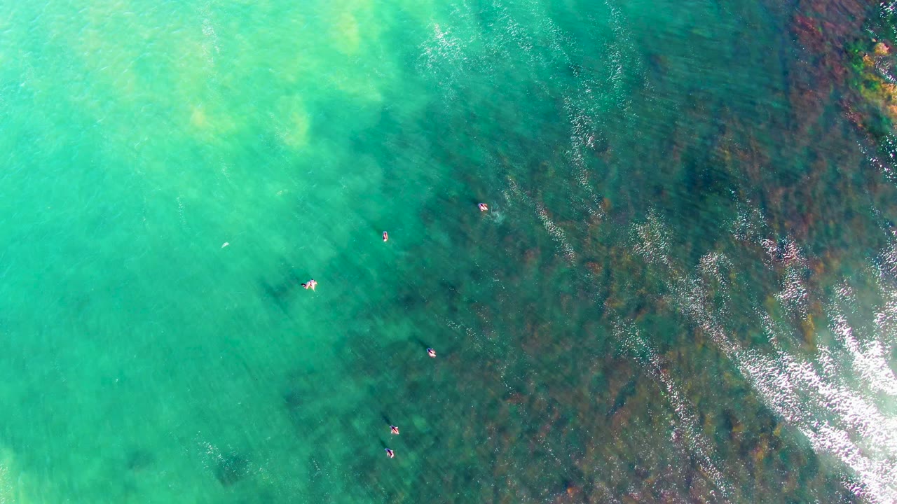 Small swimmers in clear green-blue water beside a darker seabed area.