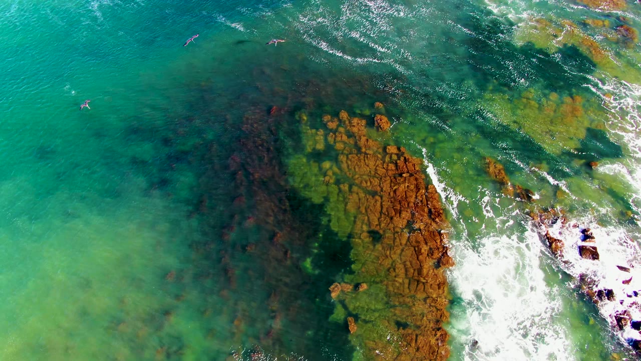 Overhead frame from La Bocana, Baja California Sur, showing birds over turquoise and green water beside brown submerged rocks and white surf, with no visible people.