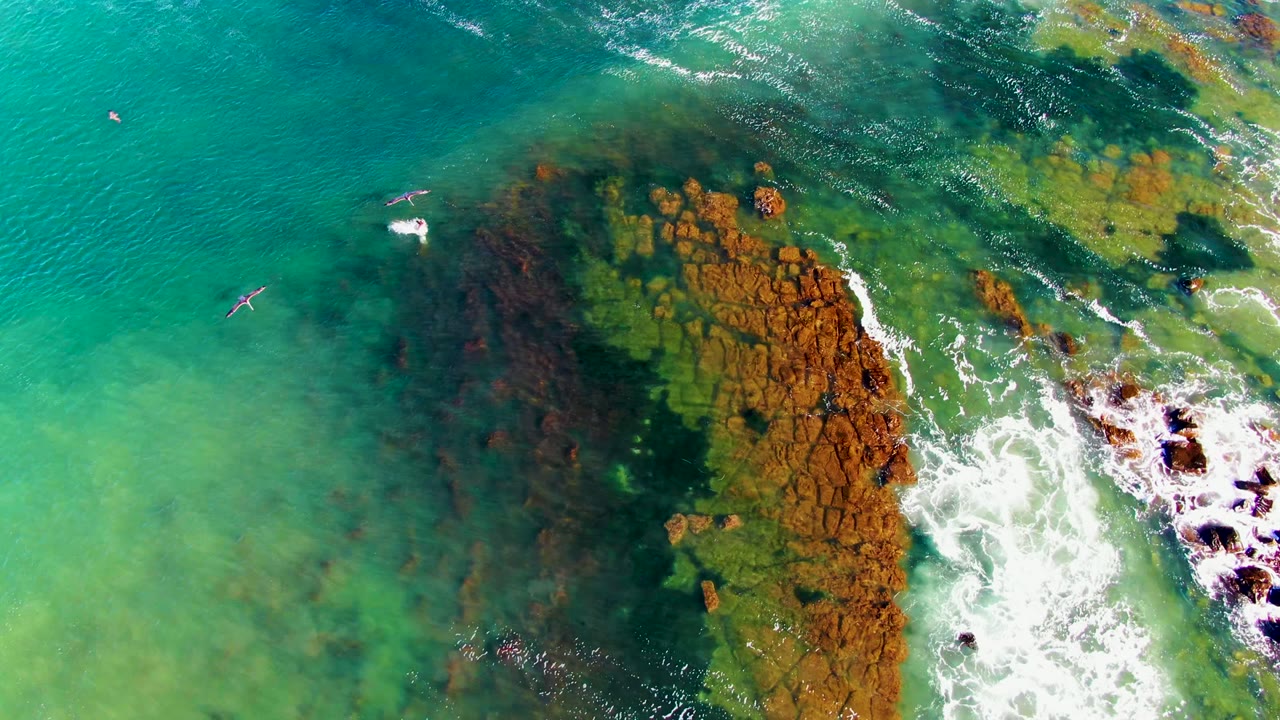 Overhead La Bocana shoreline view with a bird near a patch of white splash, another bird over open water, and orange-brown rocks surrounded by foamy surf, with no visible people.