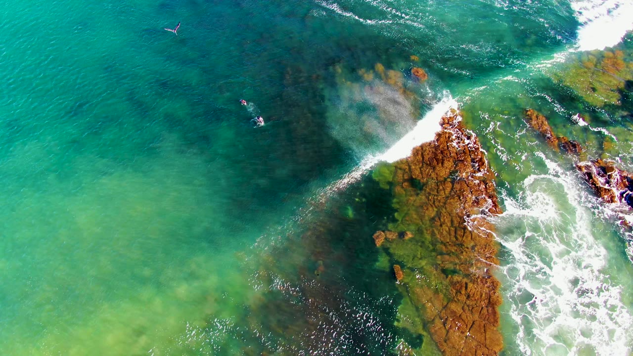 Overhead frame from La Bocana, Baja California Sur, Mexico showing turquoise water, reddish rocks, white surf, several small swimmers, and a bird near the upper left.