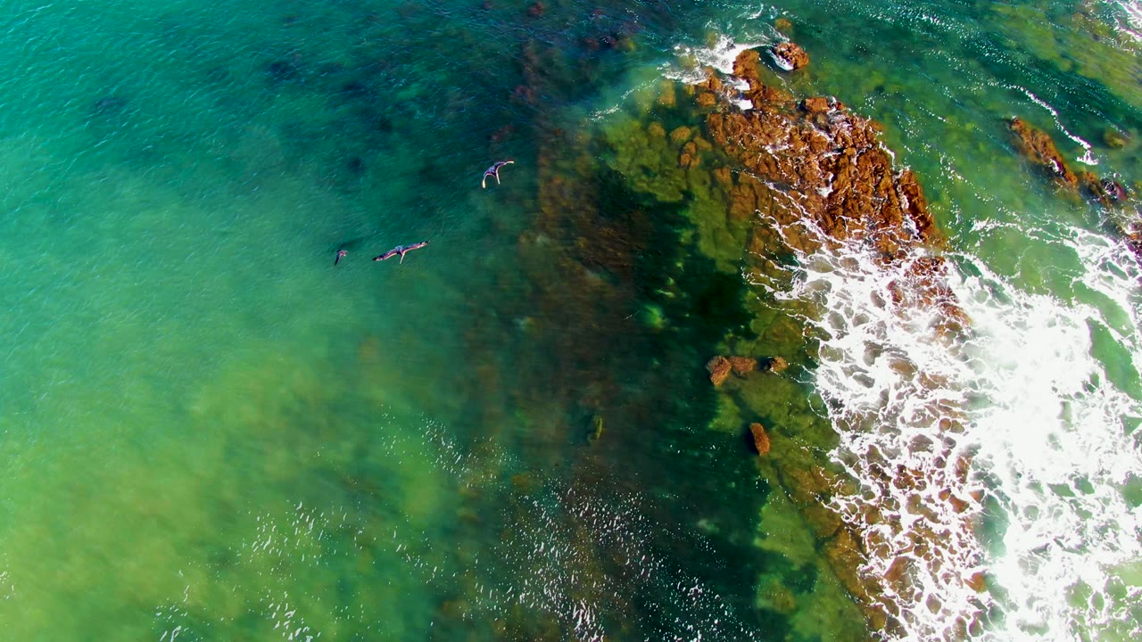 Swimmers move through clear water near foaming rocks.