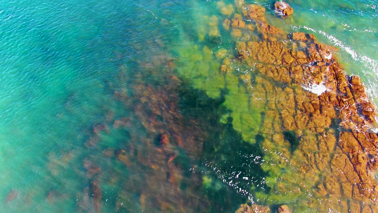 Top-down view of turquoise water over orange-brown rock and green algae at La Bocana, Baja California Sur, with small white foam near the rock edge and no visible people.