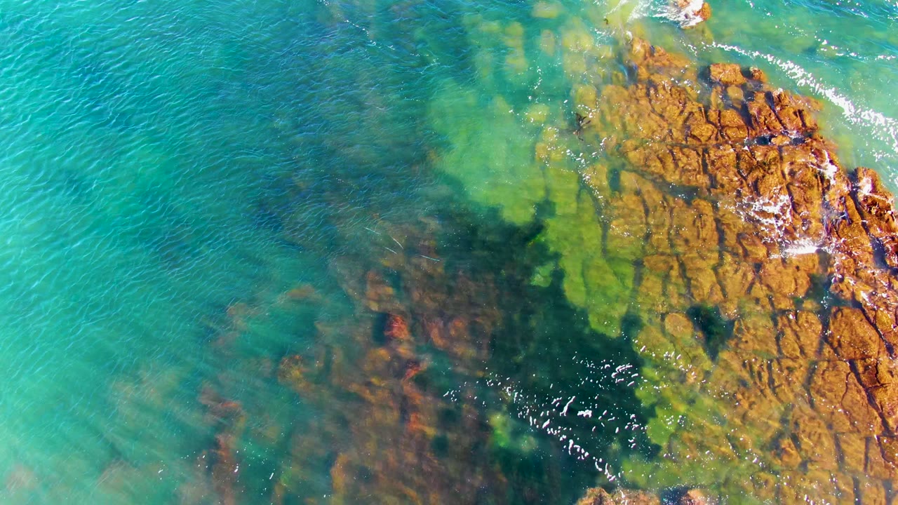 Clear ocean water with submerged rocks, algae, and a rocky outcrop at right.