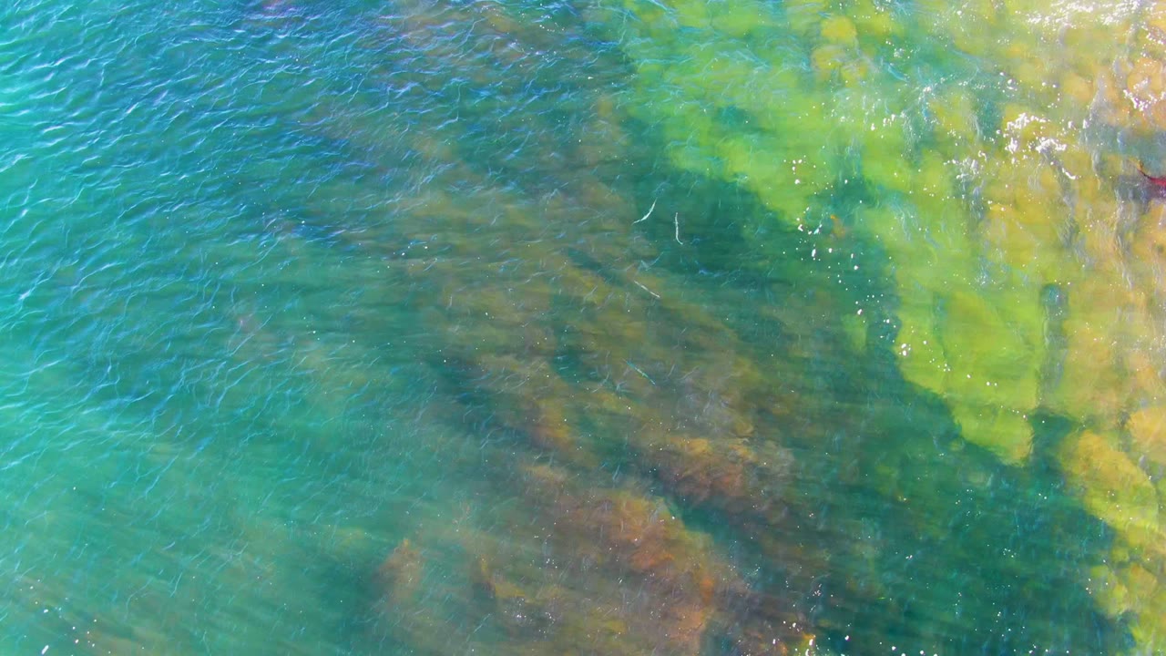 Aerial view of rippled water above yellow-green submerged rock.