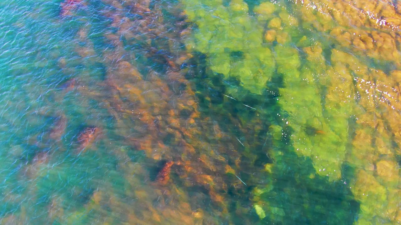 At 0:00, clear shallow water in La Bocana shows turquoise ripples over green, brown, and orange submerged textures with no visible people.
