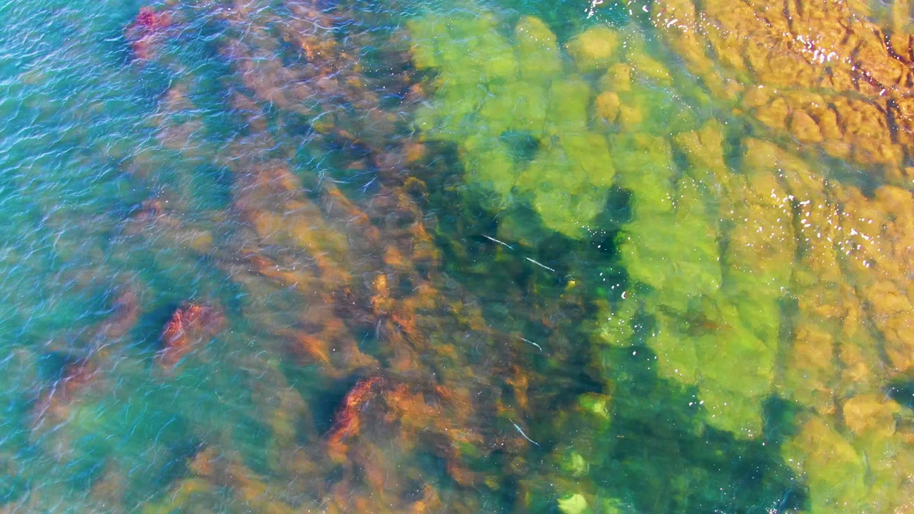 At 0:02, the overhead view in La Bocana shows green underwater texture spread across the right side, darker blue-green water at center, orange bottom detail at the edge, and no visible people.