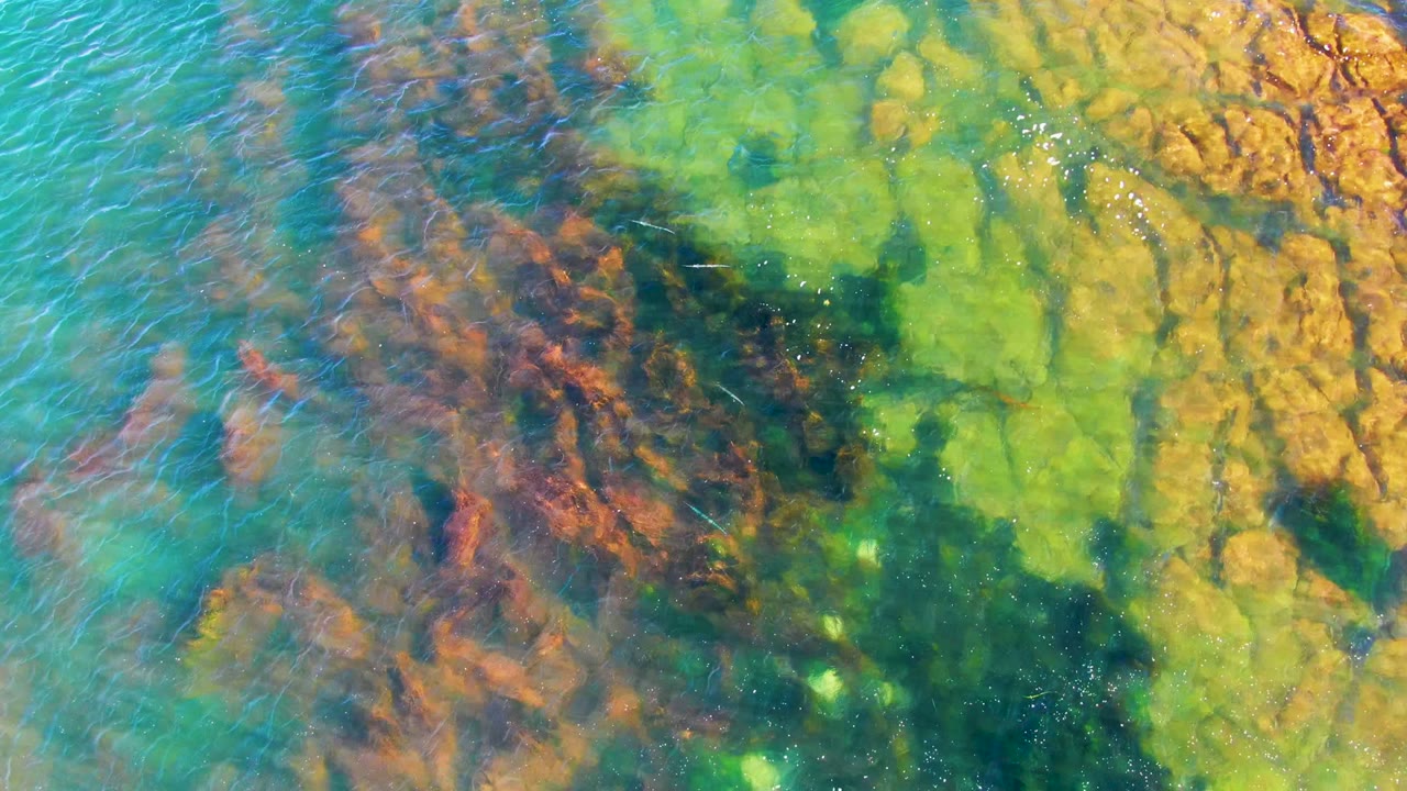 Overhead view of clear rippled water over green, yellow, brown, and dark seabed rocks in La Bocana, Baja California Sur, with no visible people.