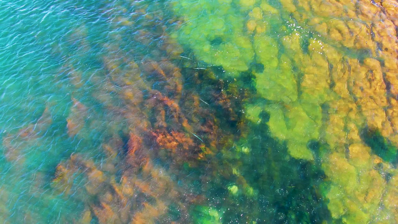 Blue-green water ripples across yellow and dark seabed rocks.