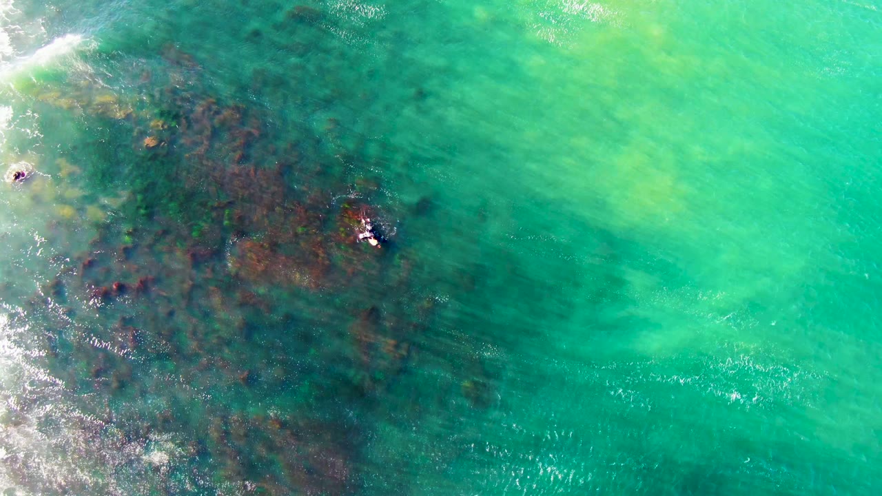Small surfer over reef-darkened turquoise water with foam at the left edge.