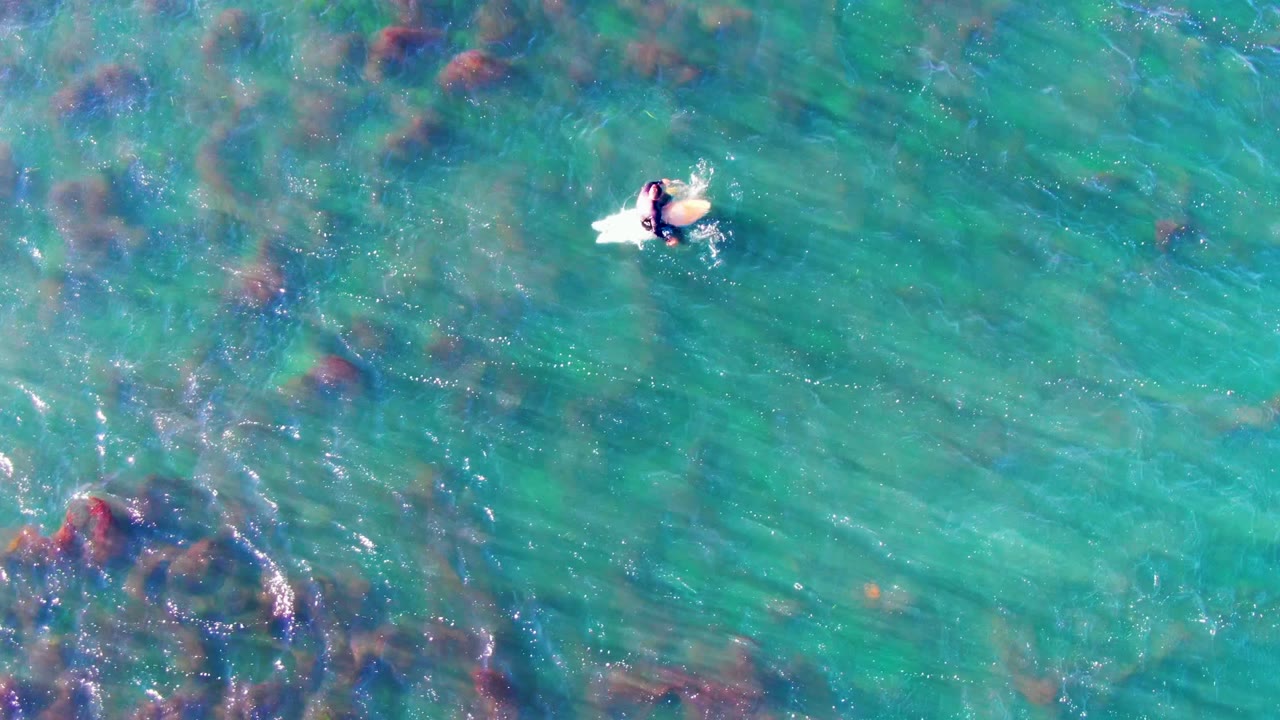 Overhead view in La Bocana, Mexico of a person on a white bodyboard near the upper center of clear turquoise water with dark seaweed patches underneath.