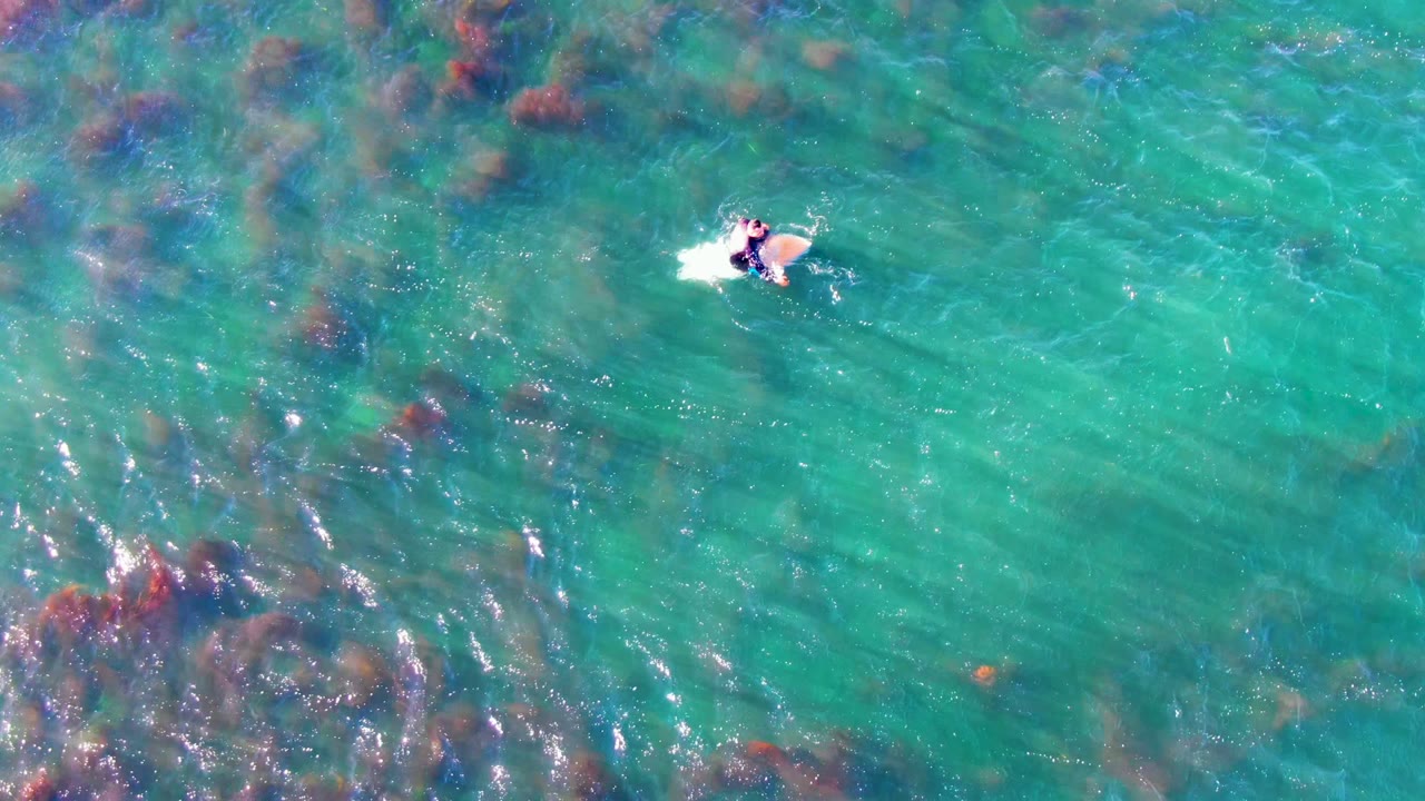 Bodyboarder paddling across clear turquoise water above dark seaweed patches