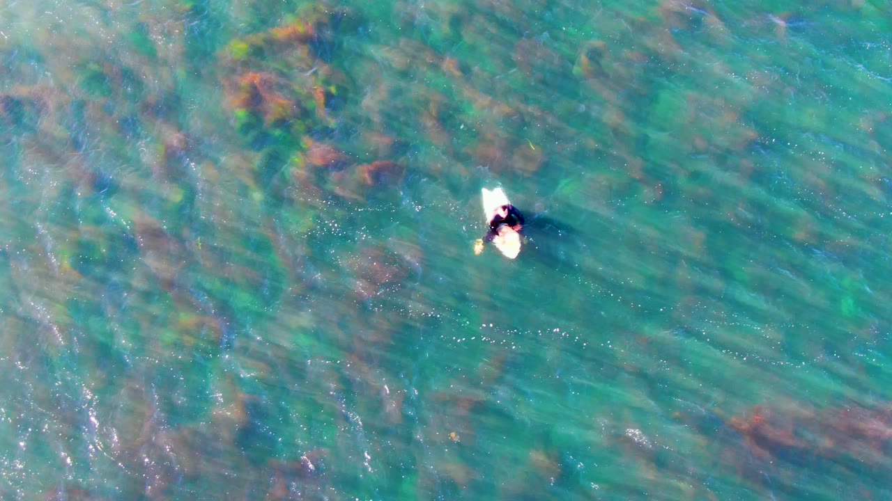 Person on surfboard in shallow water with seabed visible below.