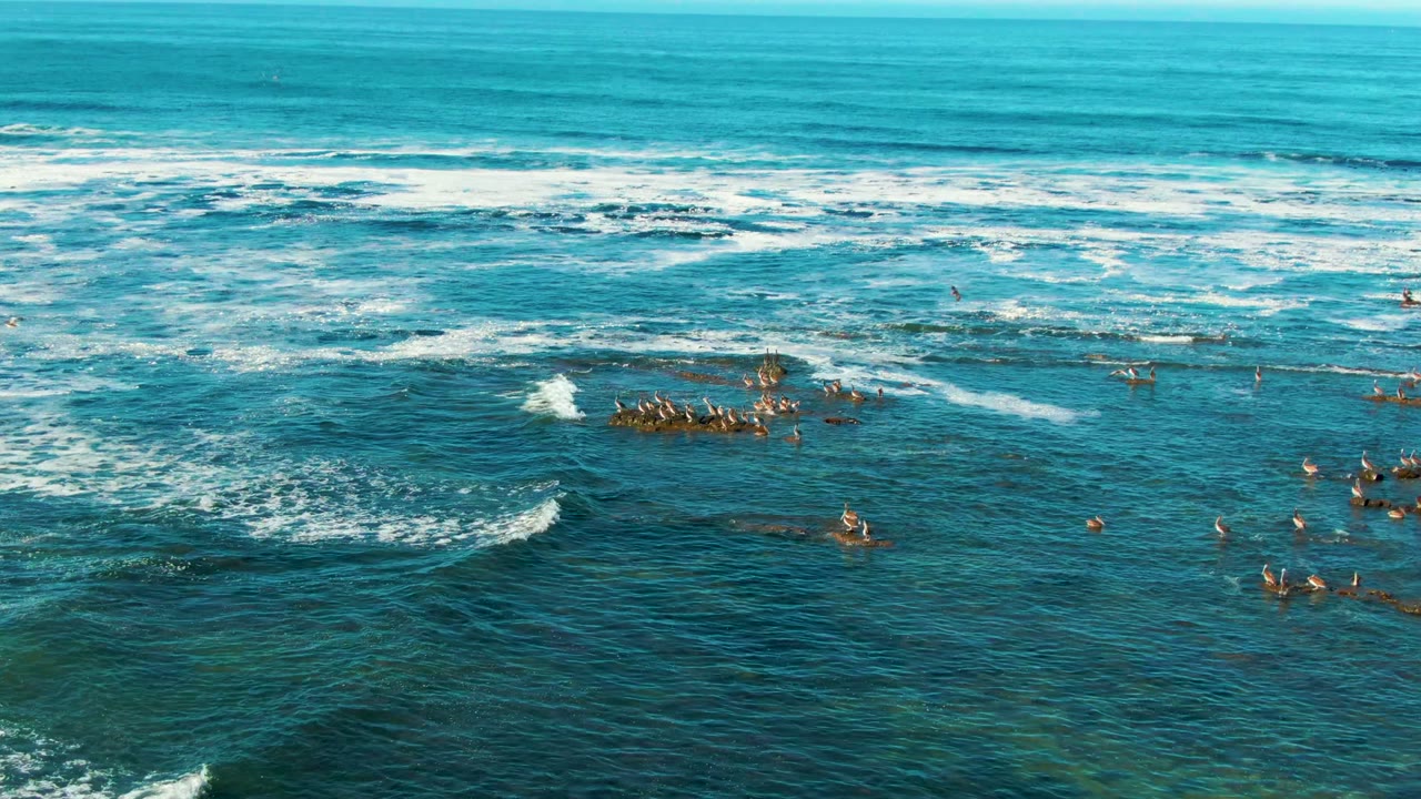 Wide aerial frame from La Bocana, Baja California Sur, Mexico showing scattered surfers and bodyboarders in blue-green water with white foam bands and a low ocean horizon.