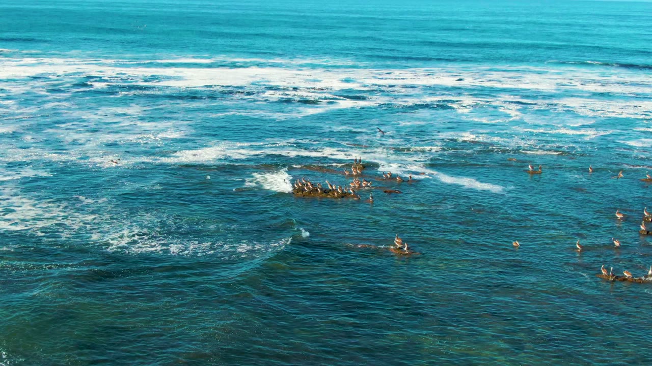 Surfers grouped around a foamy break in turquoise water
