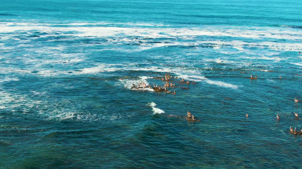 Wide La Bocana surf view with several small surfers and bodyboarders separated across the water, white foam streaks, and seabirds visible above the break.