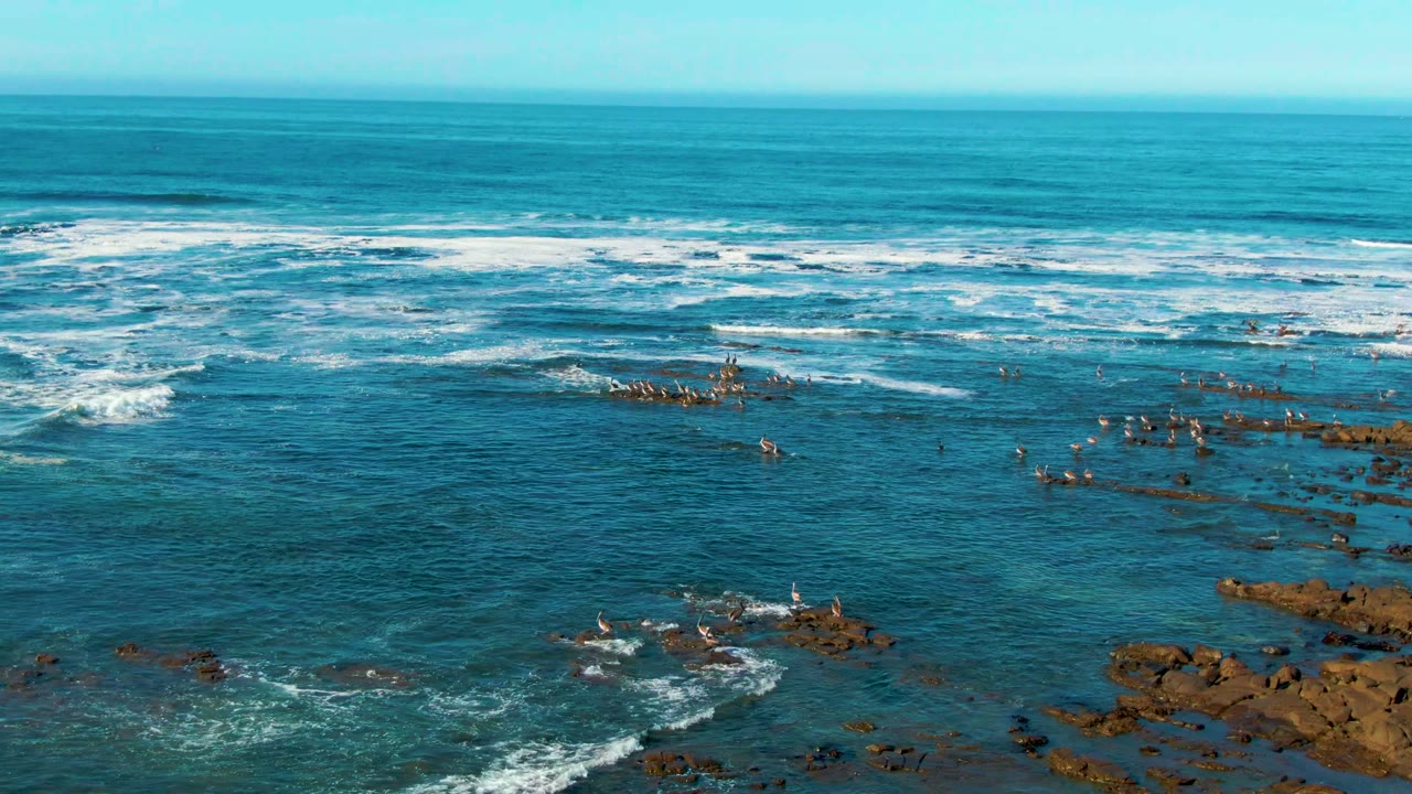Wide elevated view of seabirds perched on low rocks in La Bocana, Baja California Sur, with turquoise water, white surf bands, and no visible people.