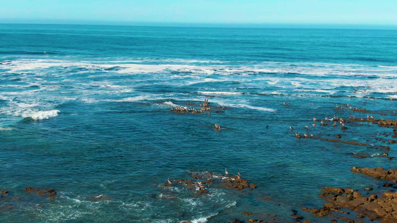 Rocky shoreline outcrops with seabirds and breaking waves