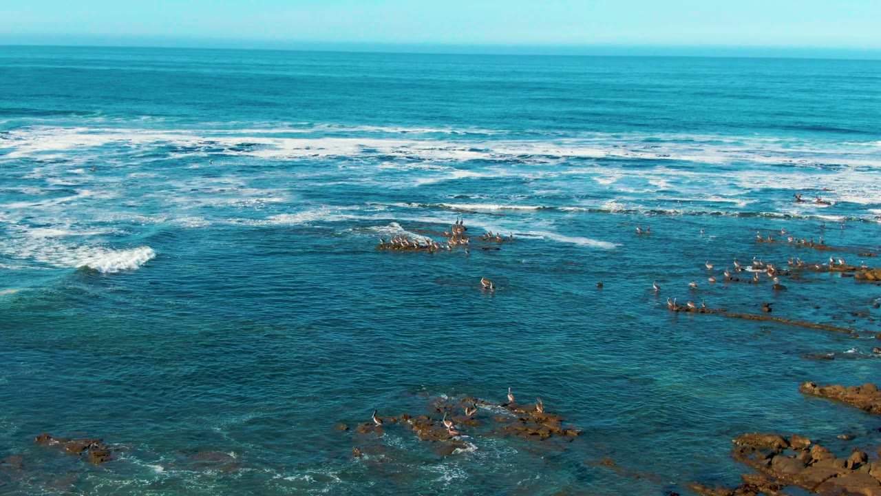 La Bocana coastal water fills the frame with seabirds on scattered rock ledges, pale foam trails crossing the water, and no visible people.