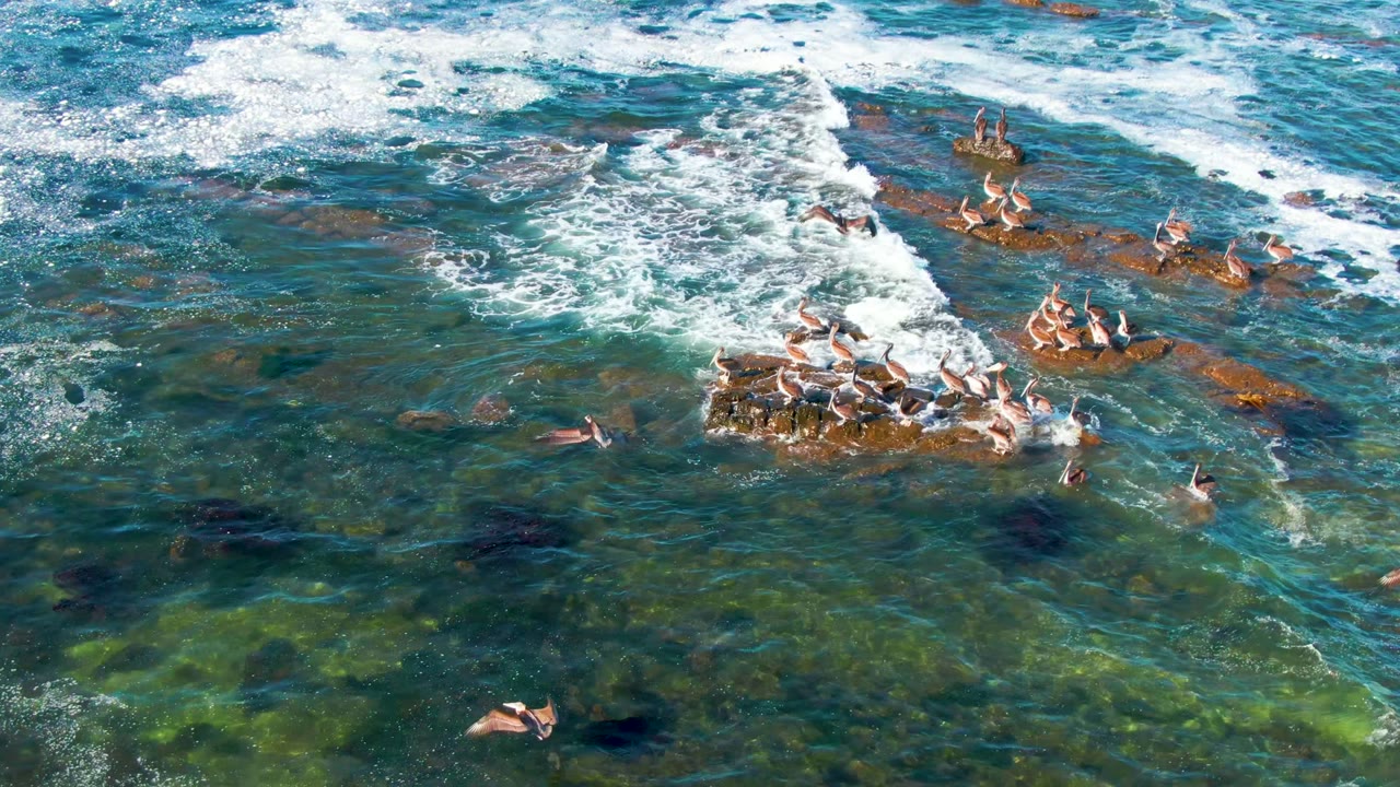 Aerial view over La Bocana, Baja California Sur where seabirds crowd a lower rock cluster while another group rests farther back in breaking white water, with no visible people.