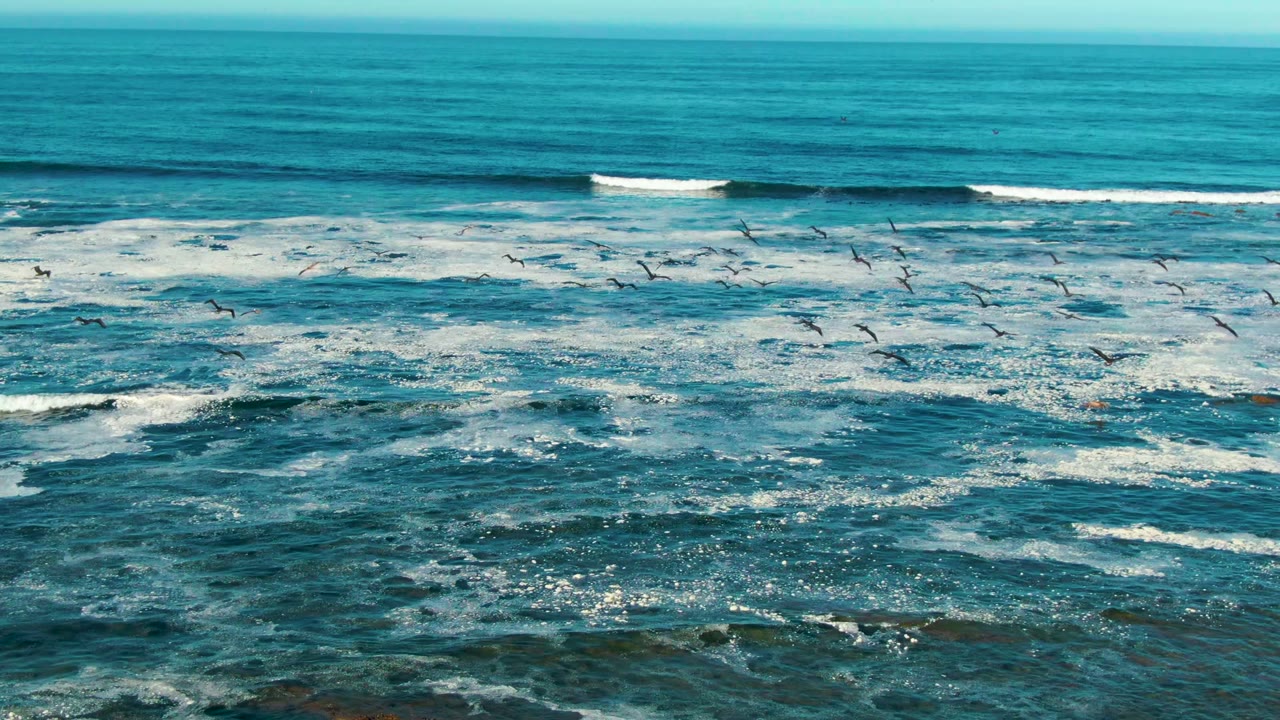 A wide La Bocana ocean frame shows white breakers across the middle distance, birds flying low, small kelp patches in the lower water, and no visible people.