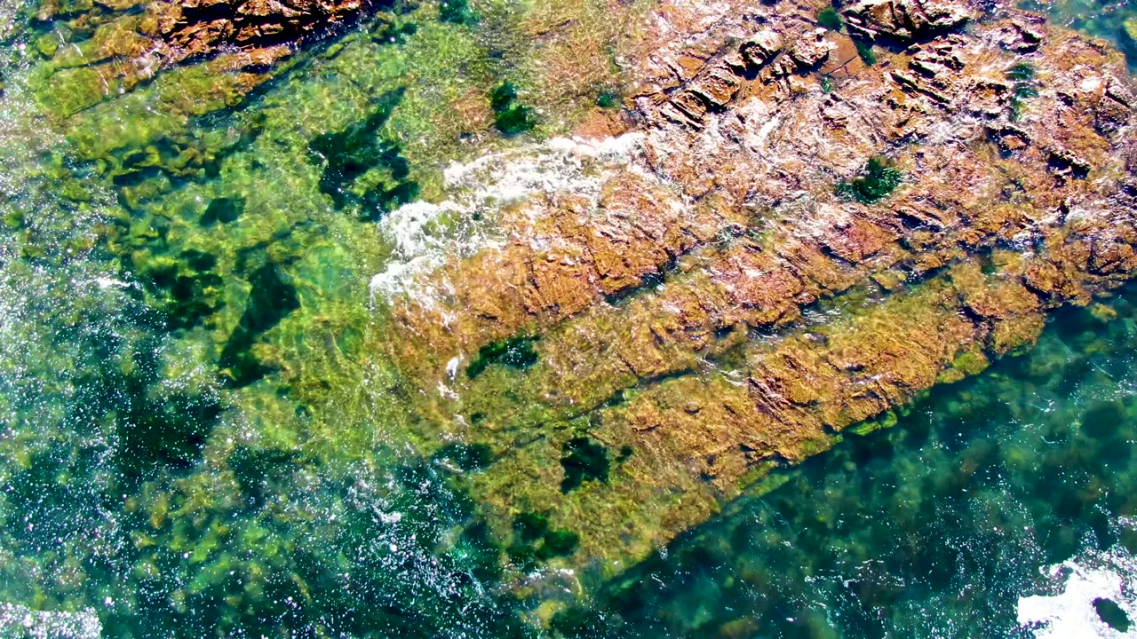 Overhead view of clear shallow water washing over brown rocks and green seaweed at La Bocana, Baja California Sur, with small white foam patches and no visible people.