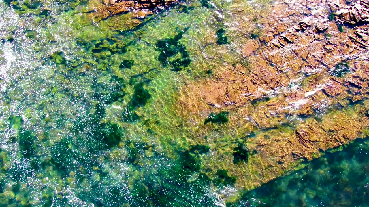 Overhead frame from La Bocana, Baja California Sur showing clear green-blue water over brown rock ledges and dark algae patches, with no visible people.