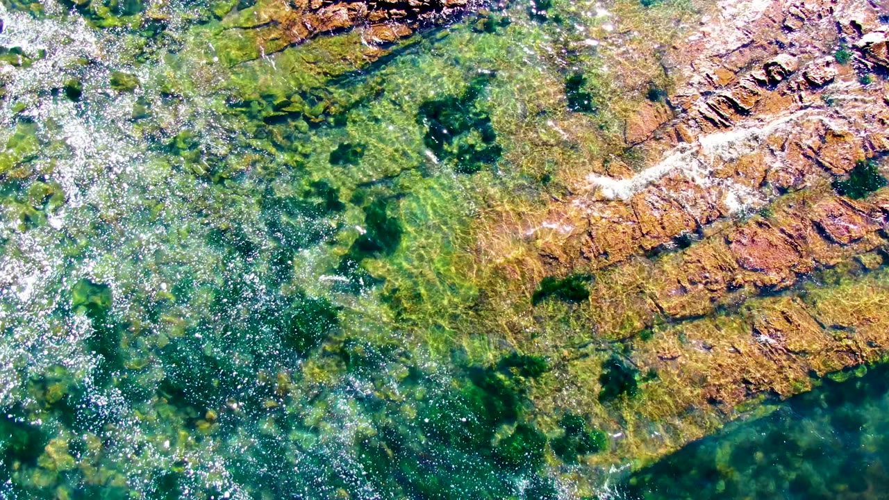 Top-down La Bocana frame showing a brighter streak of white foam and sun sparkle over transparent coastal water, brown rocks, and green algae, with no visible people.