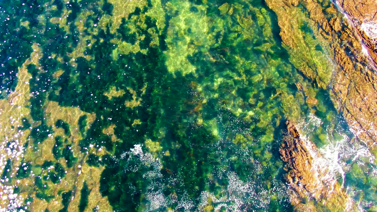Top-down view of clear green coastal water over a rocky seabed in La Bocana, Baja California Sur, with algae patches, sun sparkle, and no visible people.