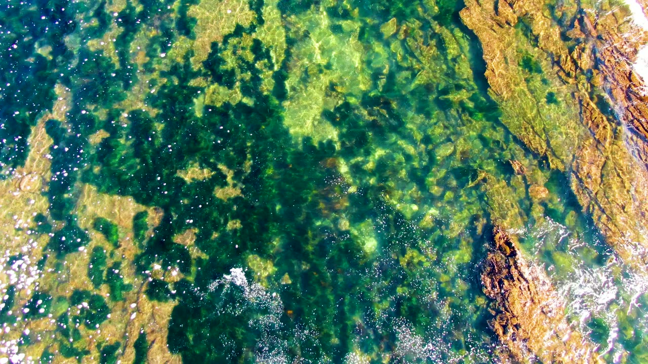 Rocky seabed under clear water with a tan rock ridge and scattered foam.