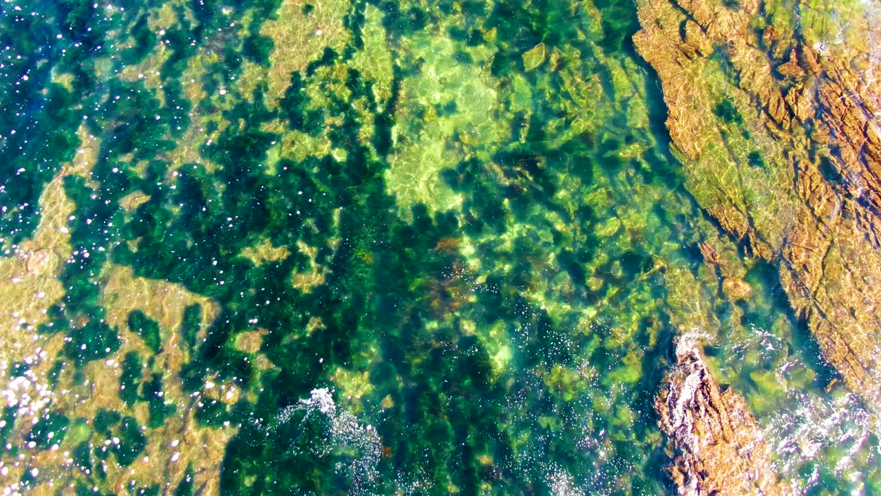 Aerial-looking view of La Bocana shoreline water shows green-blue shallows, submerged rocks, algae fields, bright surface reflections, and no visible people.