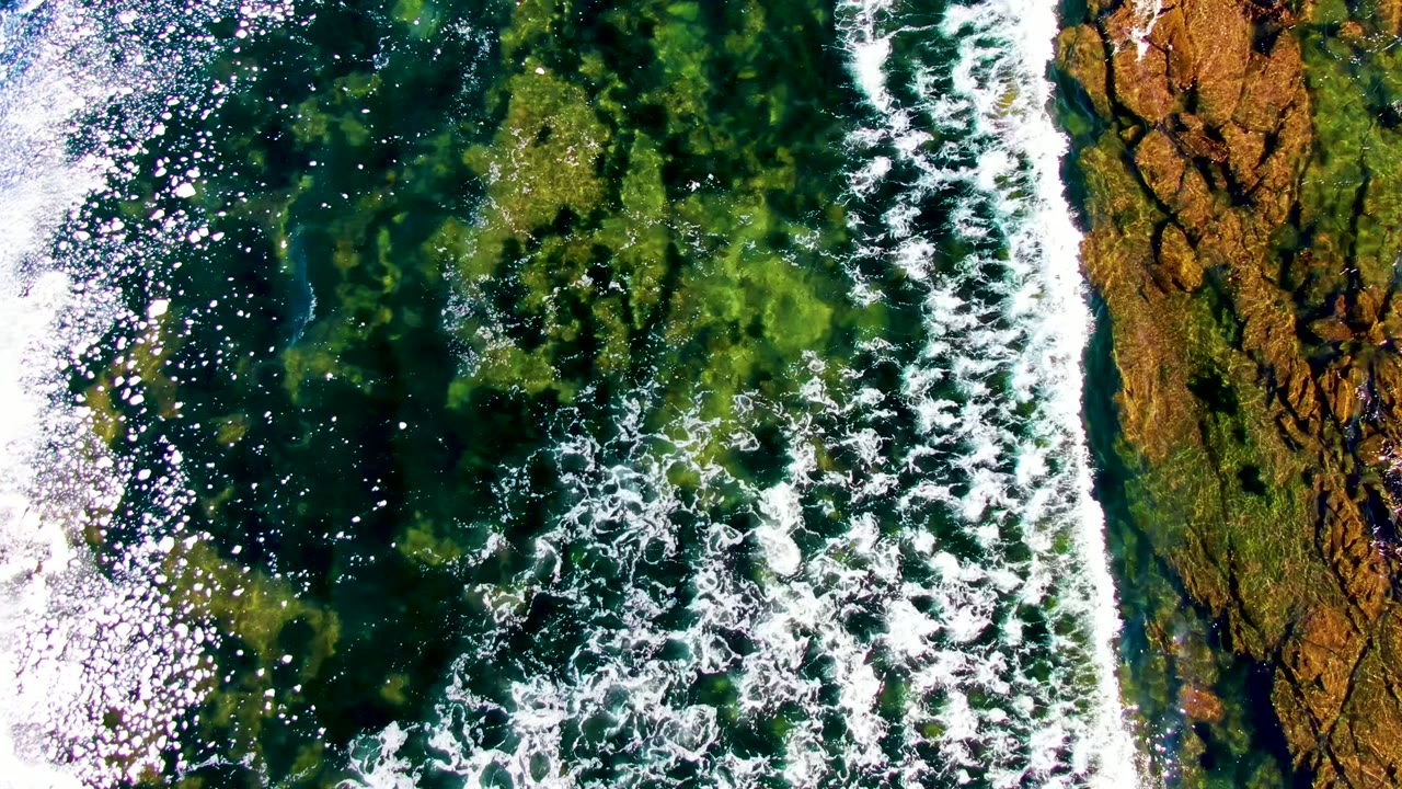 Top-down coastal water in La Bocana, Baja California Sur, with scattered white foam over dark green submerged vegetation and rock, with no visible people.