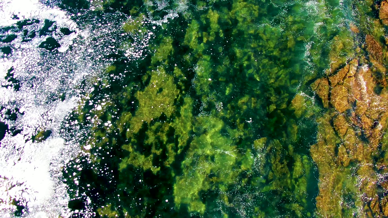 Overhead frame from La Bocana, Baja California Sur showing shallow green water, white foam along the left edge, submerged seagrass or algae, tan rock at right, and no visible people.