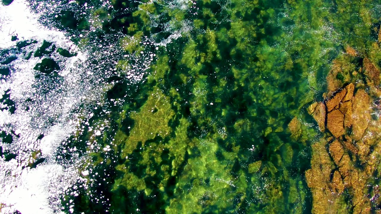 Third frame from La Bocana shows dense green seagrass or algae under clear water, white foam sliding through the left side, tan shoreline rock on the right, and no visible people.