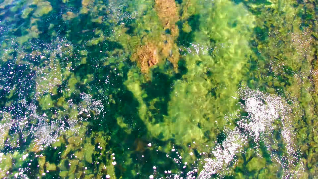 Overhead view of clear shallow water in La Bocana, Baja California Sur, with green algae, brown underwater rocks, bright surface reflections, and no visible people.