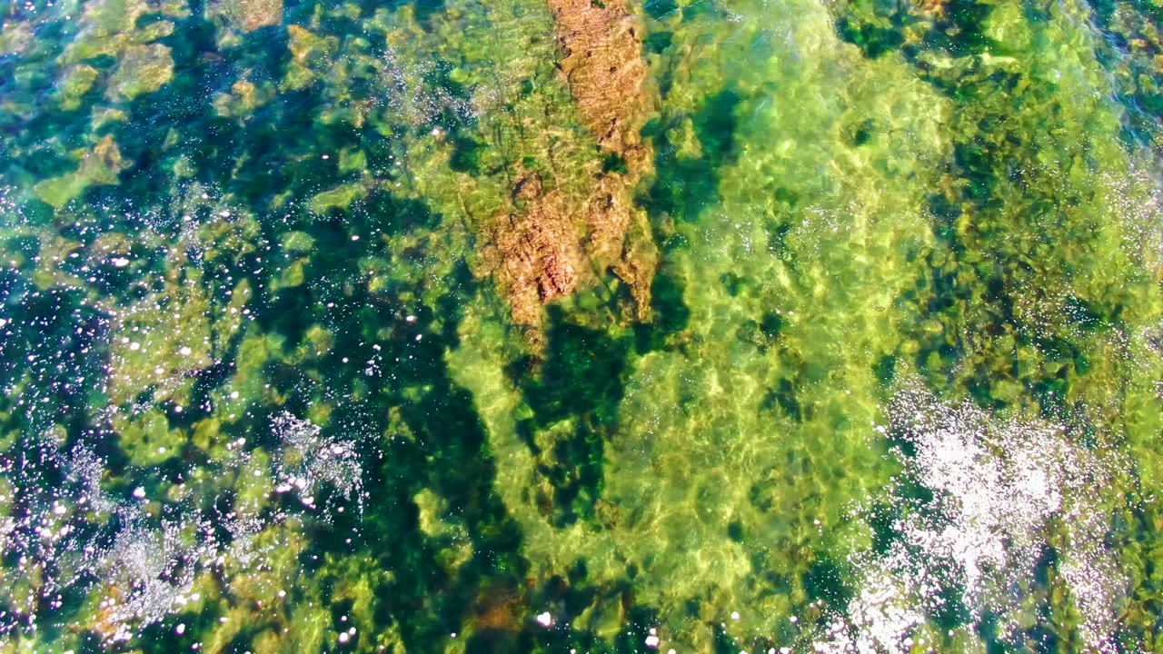 An overhead frame from La Bocana shows translucent shallow water, uneven green algae beds, darker rock forms, and scattered surface sparkle with no visible people.